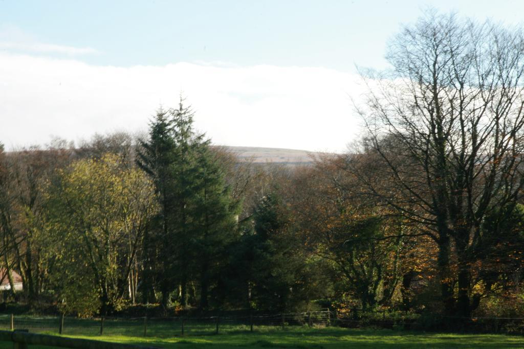 Lydford House Hotell Eksteriør bilde